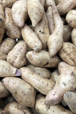 Mor Yam. Hawaii 'de yetişen mor yer elmaları, pazarda satılmak üzere üst üste yığılmıştı. Mor yer elması ya da daha büyük yer elması, yer elmasının bir türüdür. Yumru olanlar genellikle parlak lavantaya canlı mor renktedir. Ye..  