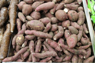 Yer elması. Japon Yam. ABD, pazarda satılık Japon tatlı patatesleri yetiştirdi. Dünya çapında insanlar çeşitli yemek ve yemeklerde tatlı patates yemekten hoşlanırlar. Japon tatlı patates yemeği. Taş fırında tatlı patates.. 