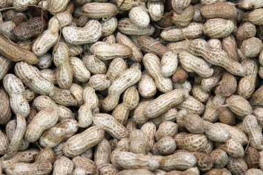 Fıstık. Fıstık kabukları pazarda satılmak üzere üst üste yığılır. Yer fıstığı, yer fıstığı, yer fıstığı, yer fıstığı, yer fıstığı ya da maymun fıstığı olarak da bilinir. İnsanlar atıştırmalık fıstıklara bayılır..