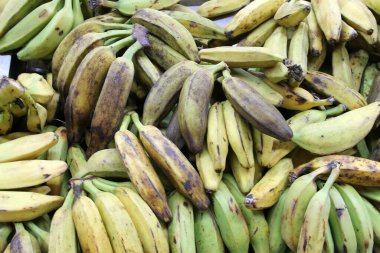 Muz. Muzlu Tayland yemeği. Guatemala California 'daki bir pazarda satılık Tayland Muzu yetiştirdi. Dünyanın dört bir yanındaki insanlar muzları sever.. 