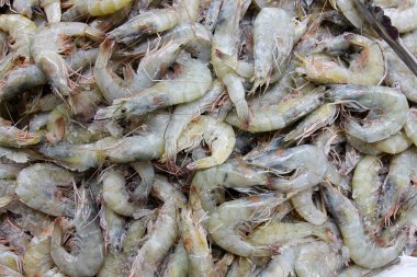 Karides. Bütün beyaz karideslerin kafaları hala üzerlerinde. Çiftçi pazarında buzda satıyorlar. Deniz ürünleri pazarında satılık buzlu taze karides. Satılık taze çiğ karides ya da karides grubu. 
