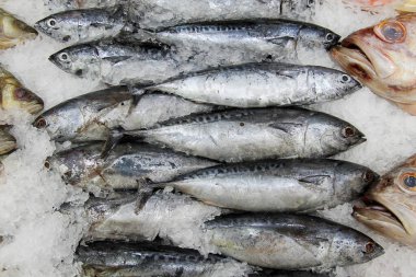 Jack 'i geç. Wild Catch Skip Jack Meksika 'dan ithal edildi. İnsanlar Skip Jack Fish 'i yakalamayı ve yemeyi seviyor. Vahşi Balık dünyayı besler.. 