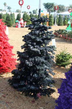 Noel ağacı. Parlak renklerde Noel Ağaçları akın etti. Noel ağacı sürüsü. Çok renkli Noel ağaçlarının görüntüsü.