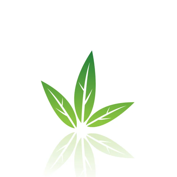 Green leaf icon — Stock Photo, Image