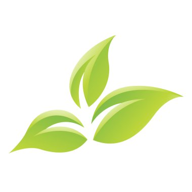 Yeşil parlak yaprakları simgesi