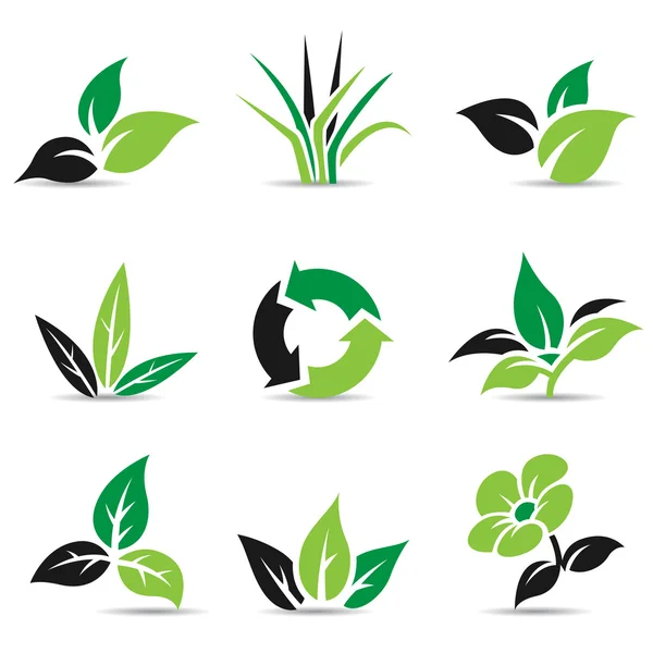 Czarne i zielone liście na białym tle — Wektor stockowy