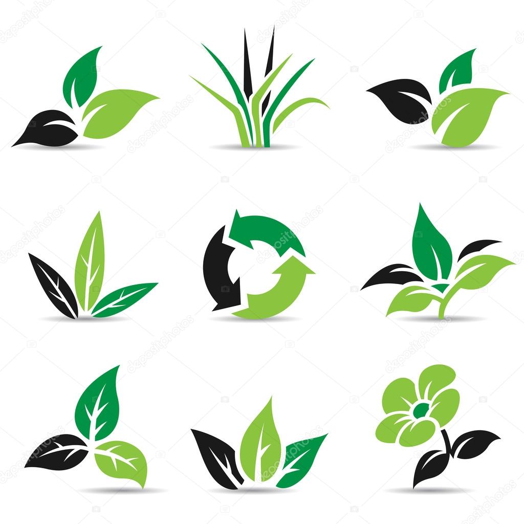 Black and Green Leaves isolated on white