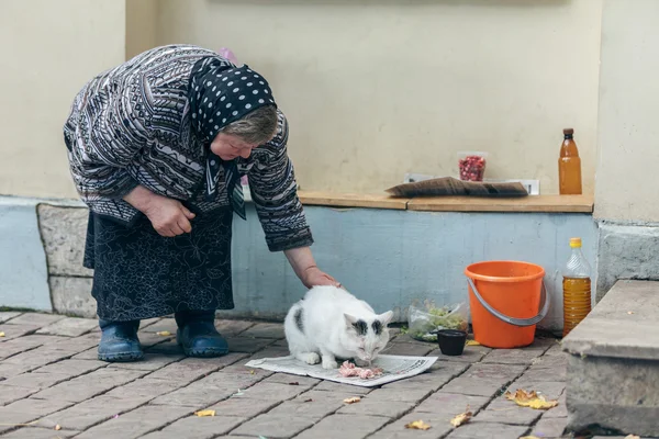 Suzdal, RUSSIA - 13 settembre 2015: Buona nonna che dà da mangiare a un gatto randagio Foto Stock