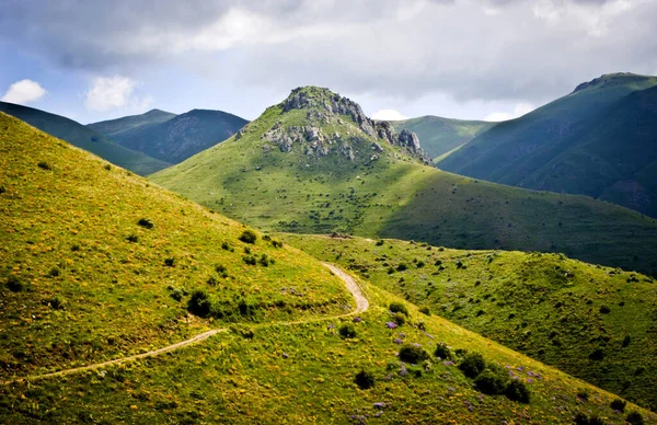 Primavera Flores Florecen Las Montañas Camino Montaña Extiende Por Las — Foto de Stock