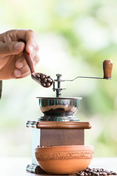 Barista messen die Kaffeebohnen in die Mühle — Stockfoto