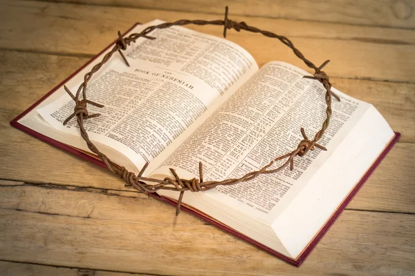 Concept Metal Barbed Wire Crown Thorns Jesus Holy Bible — Stock Photo, Image