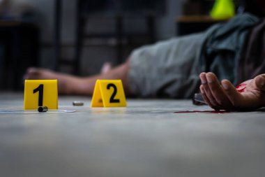 Adli tıp müfettişi olay yerindeki bir silahın fişeklerini vurguluyor.