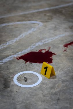 Adli tıp müfettişi olay yerindeki bir silahın fişeklerini vurguluyor.