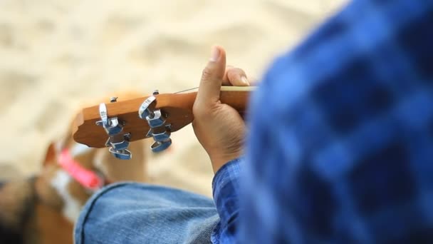 夏威夷四弦琴玩 beagle 犬 — 图库视频影像