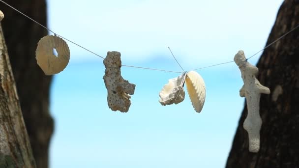 貝殻とサンゴの木に掛かっているモバイル — ストック動画