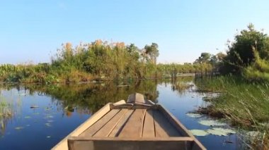 Kuş bataklık tekne turu