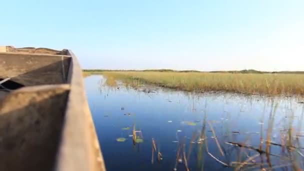 Paseo en barco por los pantanos de aves — Vídeos de Stock