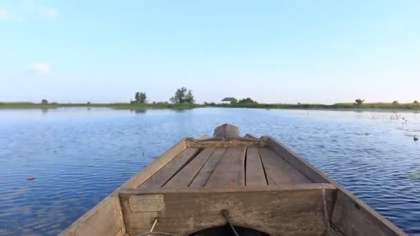 Båttur i fågel träsk — Stockvideo