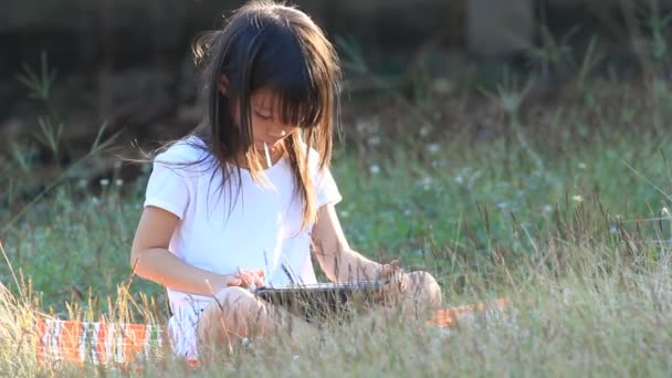 Дівчина з сенсорним екраном лежить на траві під час заходу сонця — стокове відео