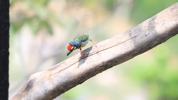 Barbican de chaudronnier