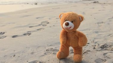 kukla kumsalda ayı.