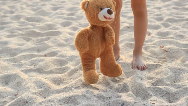 Bear marionette on beach. — Stock Video