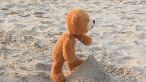 Oso marioneta en la playa . — Vídeos de Stock