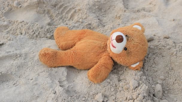 Bear marionette on beach. — Stock Video