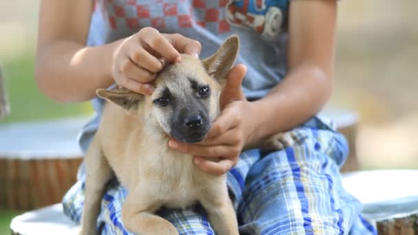 Ragazzo e cane — Video Stock