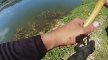 Balıkçılık lures