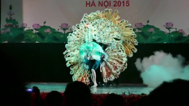 Il IV festival internazionale delle marionette ha noi 2015 — Video Stock