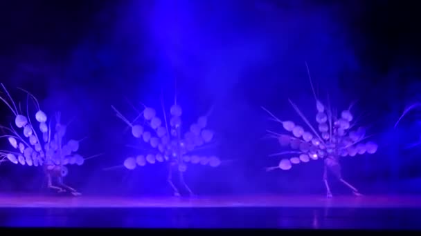 Dockteater i 4: e internationella marionette festivalen ha noi 2015 — Stockvideo