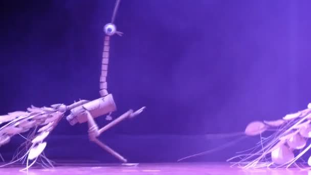 Espectáculo de marionetas en el 4º festival internacional de marionetas ha noi 2015 — Vídeo de stock