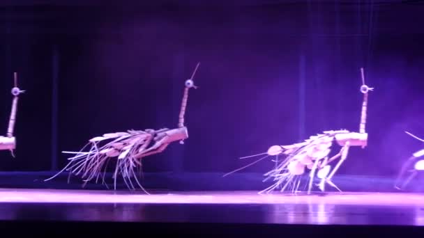 Espectáculo de marionetas en el 4º festival internacional de marionetas ha noi 2015 — Vídeos de Stock