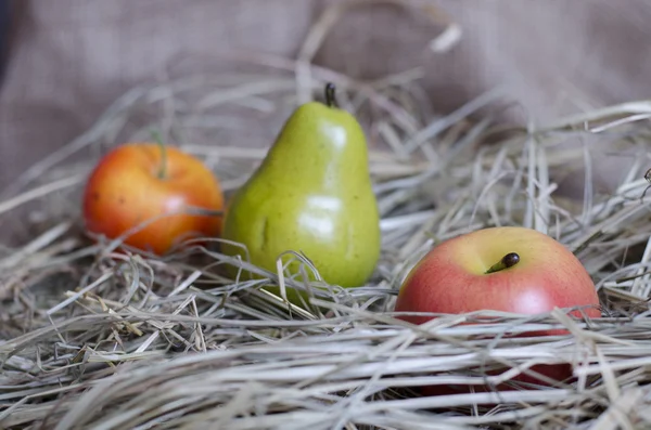 Apples and pears in the hay — Stock Photo, Image