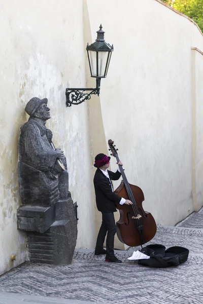 Musicien de rue jouant kontrobase — Photo
