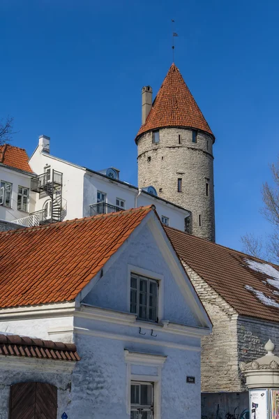 Torre dei ladri. Tallinn. Estonia — Foto Stock