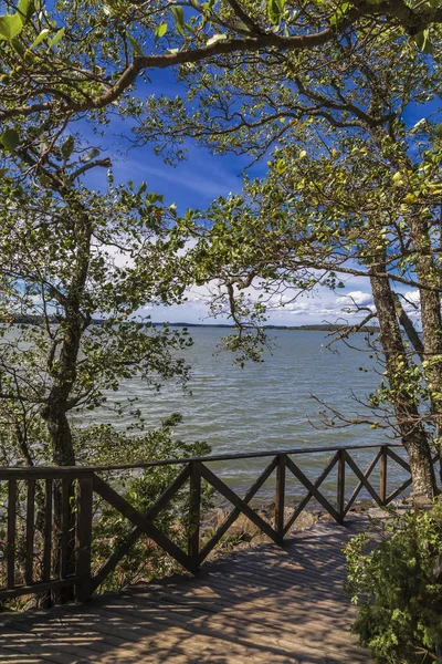 Lake promenade with wooden flooring — стоковое фото