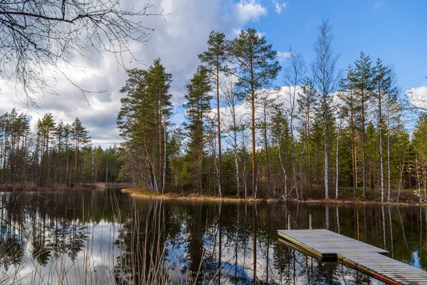 Karelien Finnland Malerische Ecke Der Wilden Natur Finnlands Kiefernwald Und — Stockfoto