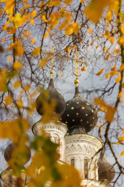 ロシア ウラジーミル地方 ムロム市 秋の紅葉を通して 受胎告知修道院における受胎告知大聖堂のドームの眺め — ストック写真