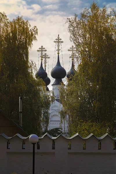 Rusia Región Vladimir Ciudad Murom Cúpulas Santísima Trinidad Catedral Del — Foto de Stock