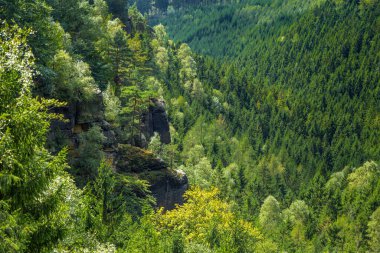 Çek Cumhuriyeti, Khrensko - Bohemian İsviçre Ulusal Parkı 'ndaki dağ sırası