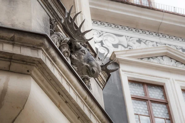 Almanya Nın Dresden Kentindeki Bir Binanın Duvar Süslemesi Geyik Kafası — Stok fotoğraf