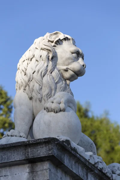 Skulptur eines Löwen — Stockfoto