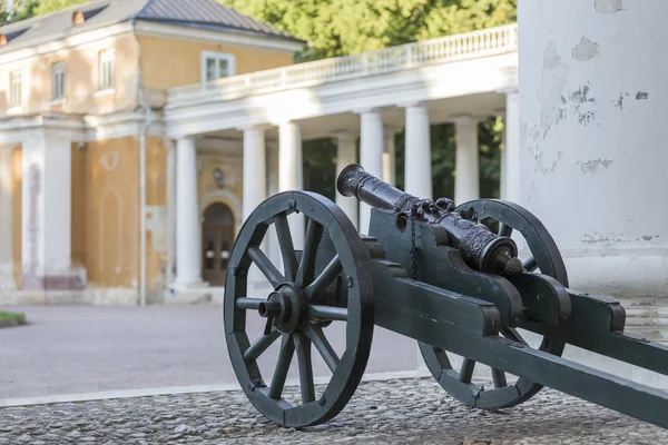 Kanone auf einem Holzwagen — Stockfoto