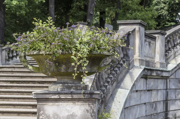 Vaso di pietra giardino — Foto Stock