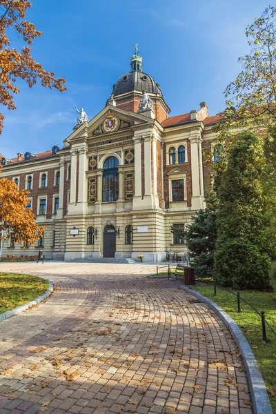 Wirtschaftsuniversität in Krakau — Stockfoto