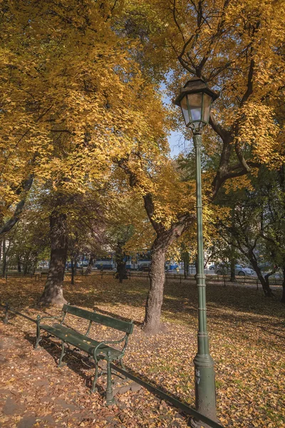 Pflanzpark im Herbst — Stockfoto