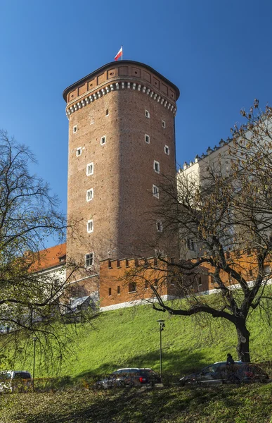 Senatorskie Tower (nazwana) — Zdjęcie stockowe