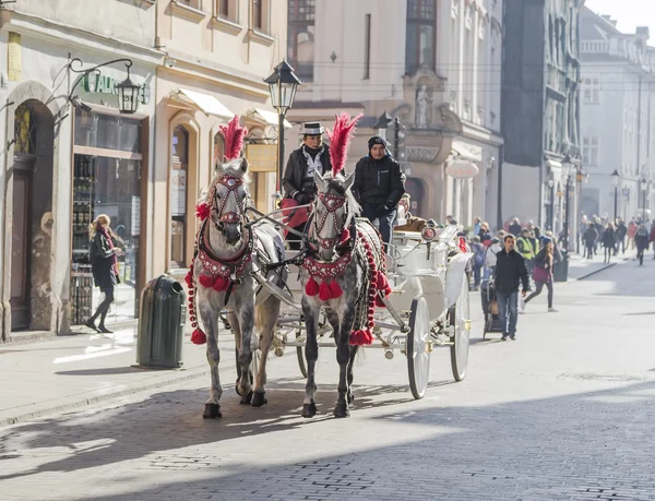 Chariot tiré par des chevaux dans les rues de Cracovie — Photo